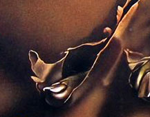 The howling